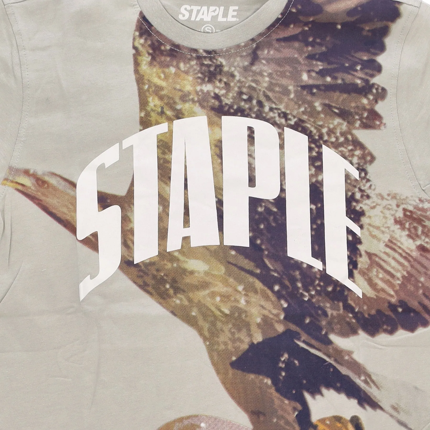 Maglietta Uomo Montrose Graphic Tee Sage